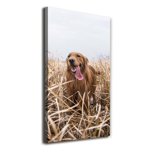 Ebern Designs Golden Retriever Kunstdrucke Auf Leinwand Wrapped